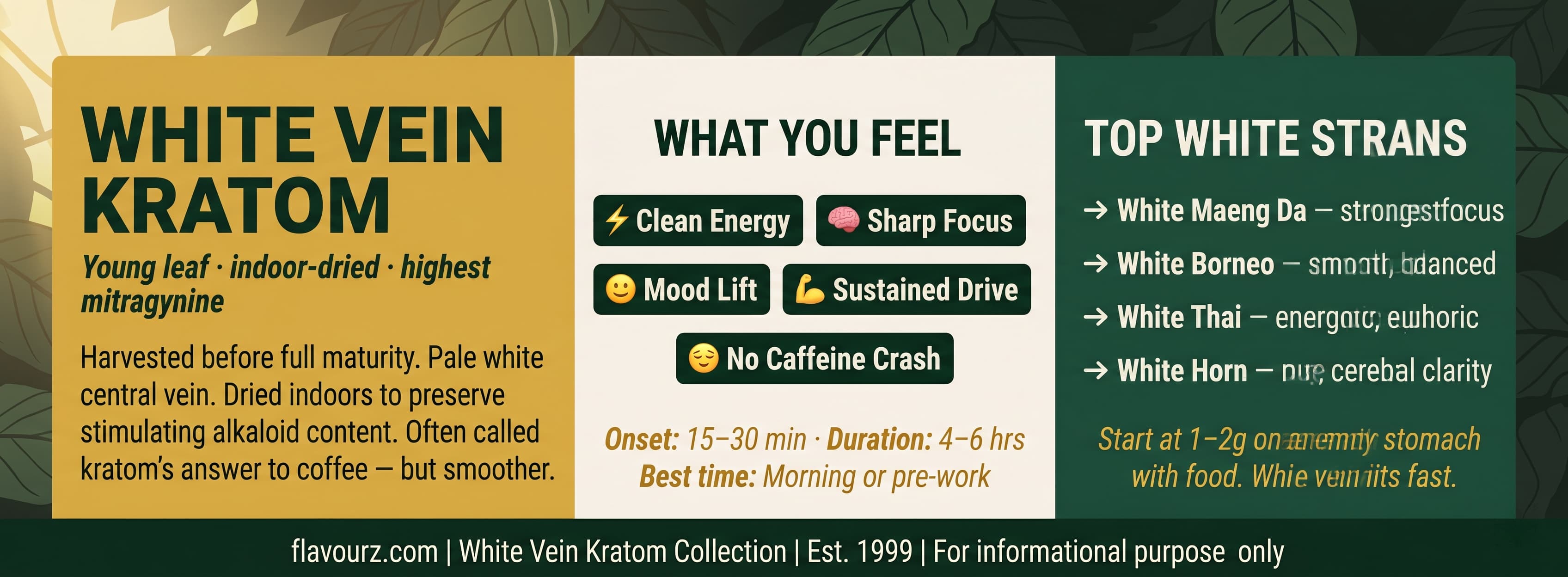 infographic for What Is White Vein Kratom